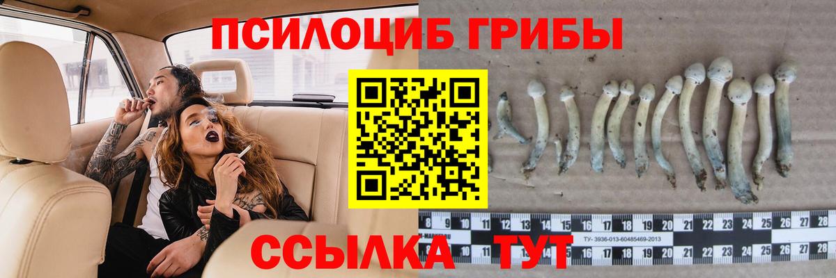 Псилоцибиновые грибы мухоморы Кандалакша