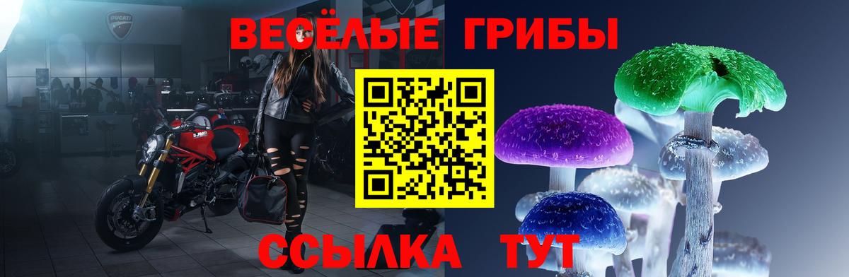 Галлюциногенные грибы Cubensis  Вход с VPN  Псилоцибиновые грибы прущие грибы  Кандалакша 