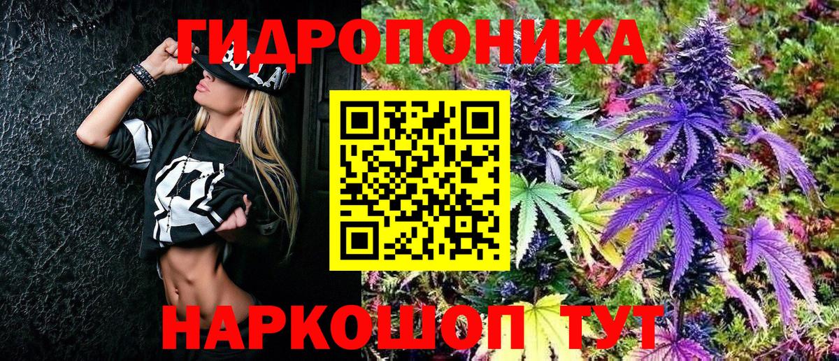 Конопля гибрид Кандалакша